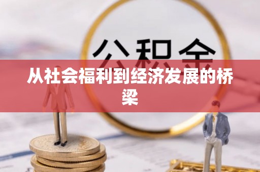 崇明从社会福利到经济发展的桥梁