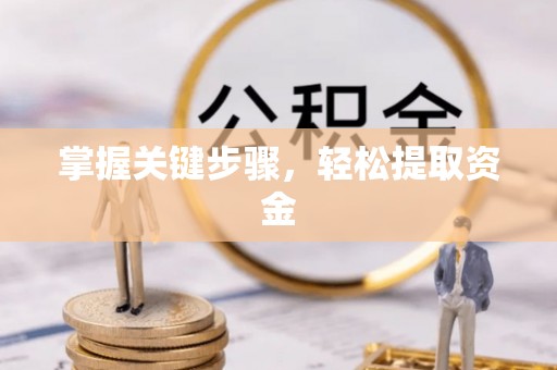 崇明掌握关键步骤，轻松提取资金