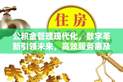 崇明公积金管理现代化，数字革新引领未来，高效服务惠及民生