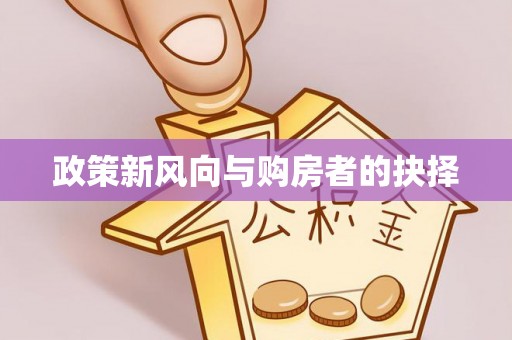 崇明政策新风向与购房者的抉择