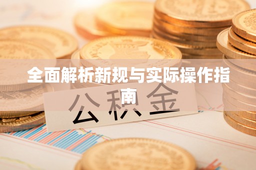 崇明全面解析新规与实际操作指南