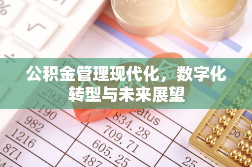 崇明公积金管理现代化，数字化转型与未来展望