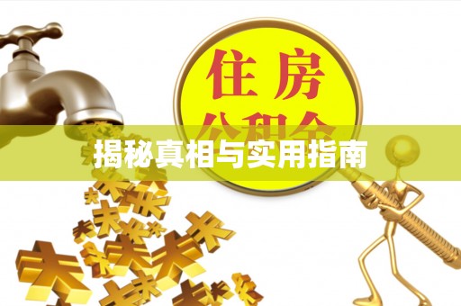 崇明揭秘真相与实用指南