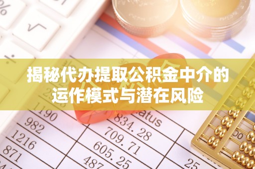 崇明揭秘代办提取公积金中介的运作模式与潜在风险