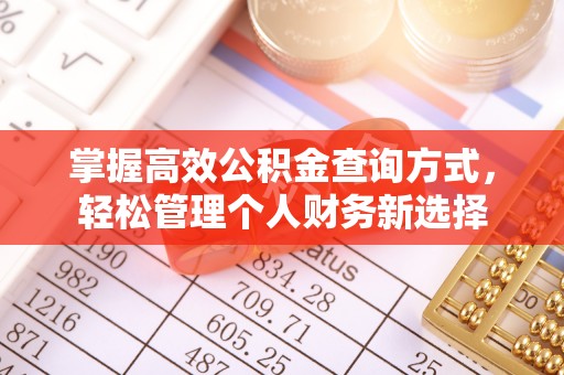 崇明掌握高效公积金查询方式，轻松管理个人财务新选择