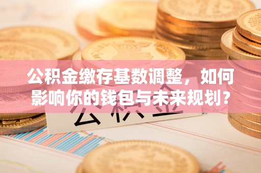 崇明公积金缴存基数调整，如何影响你的钱包与未来规划？