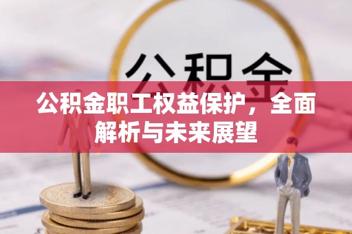 崇明公积金职工权益保护，全面解析与未来展望