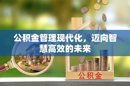 崇明公积金管理现代化，迈向智慧高效的未来