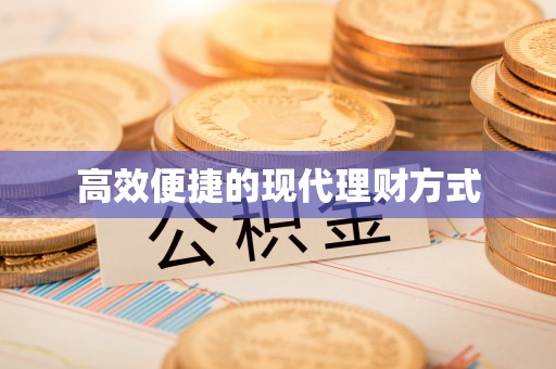 崇明高效便捷的现代理财方式