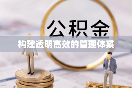 崇明构建透明高效的管理体系