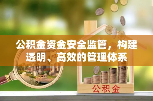 崇明公积金资金安全监管，构建透明、高效的管理体系