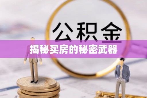 崇明揭秘买房的秘密武器