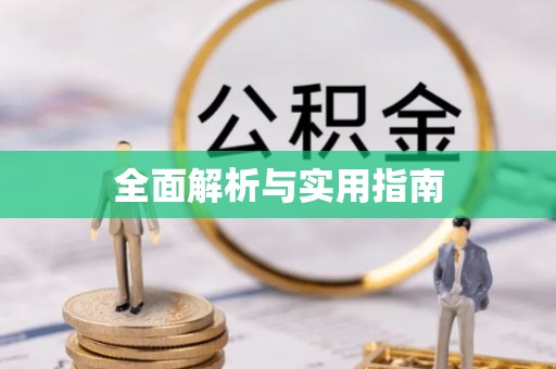 崇明全面解析与实用指南