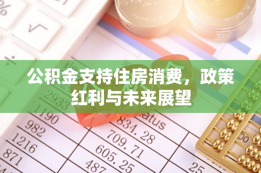 崇明公积金支持住房消费，政策红利与未来展望