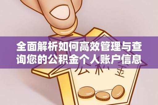 崇明全面解析如何高效管理与查询您的公积金个人账户信息
