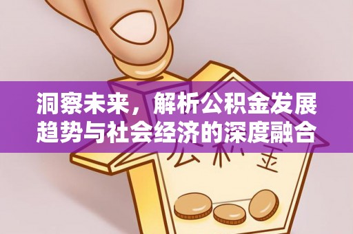 崇明洞察未来，解析公积金发展趋势与社会经济的深度融合