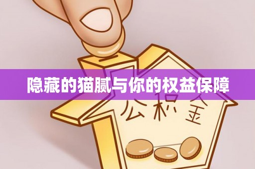 崇明隐藏的猫腻与你的权益保障