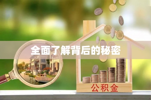 崇明全面了解背后的秘密