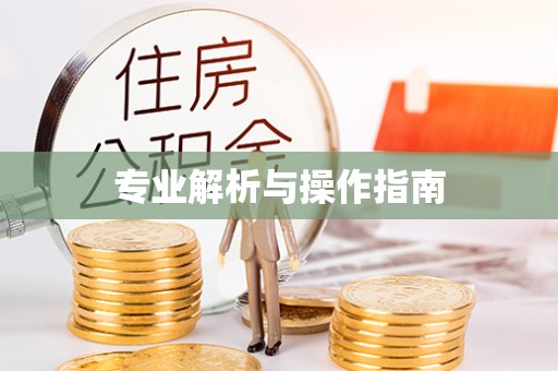 崇明专业解析与操作指南