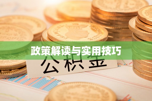 崇明政策解读与实用技巧