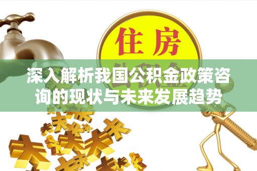 崇明深入解析我国公积金政策咨询的现状与未来发展趋势