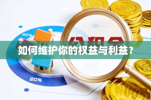 崇明如何维护你的权益与利益？