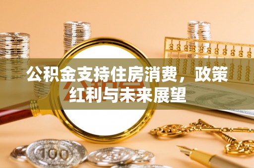 崇明公积金支持住房消费，政策红利与未来展望