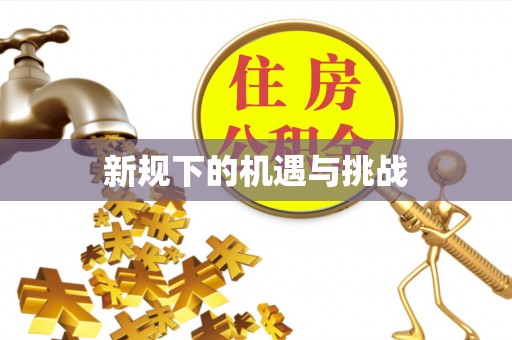 崇明新规下的机遇与挑战