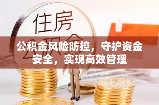 崇明公积金风险防控，守护资金安全，实现高效管理