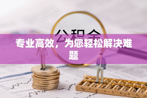 崇明专业高效，为您轻松解决难题