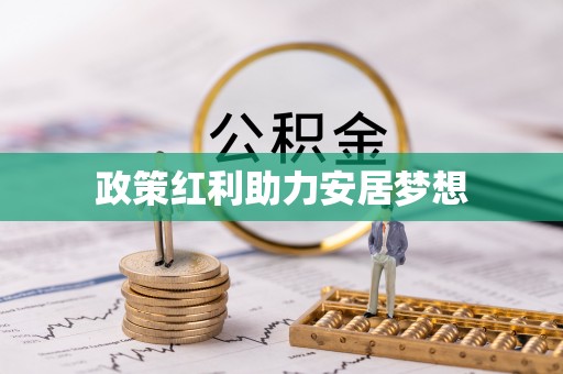 崇明政策红利助力安居梦想
