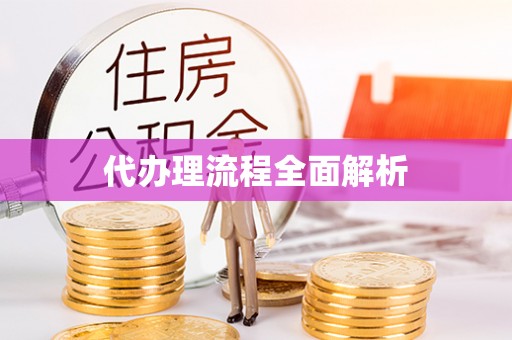 崇明代办理流程全面解析