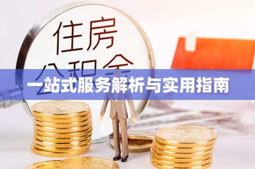 崇明一站式服务解析与实用指南