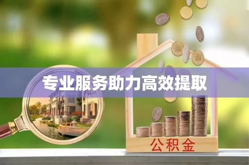 崇明专业服务助力高效提取