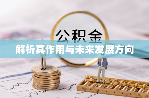 崇明解析其作用与未来发展方向