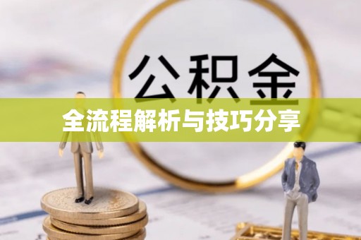 崇明全流程解析与技巧分享