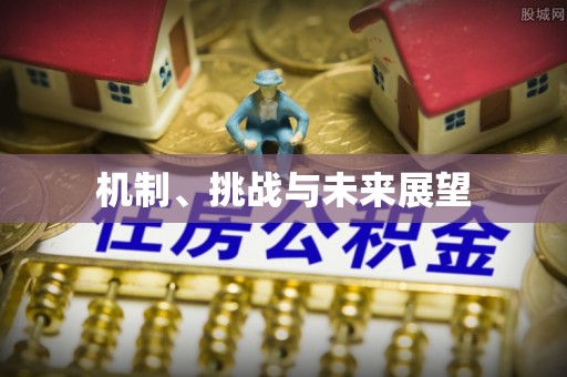 崇明机制、挑战与未来展望