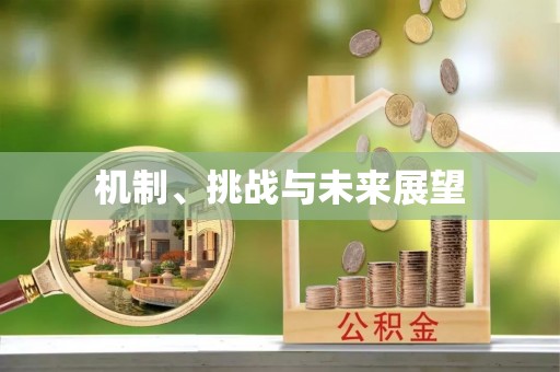 崇明机制、挑战与未来展望